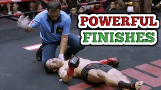 Powerful Finishes In MMA 2024 | Kicks, Knee, Elbow