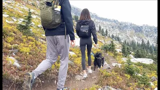 Dog Rides Big White Chair Lift!  Hiking to the top of the mountain.