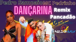 Pedro Sampaio Ft. MC Pedrinho Dançarina Remix Pancadão Dj Nildo Mix