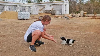 Abandoned Puppy at the Construction Site has Sweetest Reaction to Being Rescued