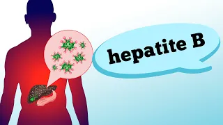 HEPATITE B: sintomas, fases, contaminação e prevenção