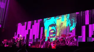 Roger Waters  - Pigs With Images of Trump