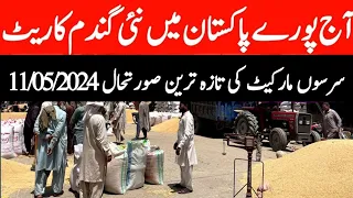 galla mandi ke rates today|2024 wheat price wheat price today in punjab