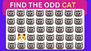 find the odd one out animal edition 🐵🐶🐱15 level easy medium hard level quiz