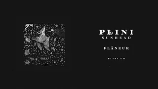 Plini – "Flâneur" (2018)