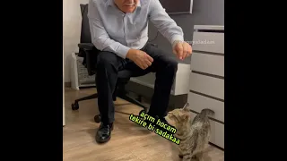 Nihat Hatipoğlu ve kedi - @isosyaladam