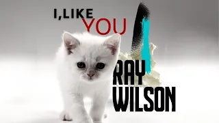 Ray Wilson | I, Like You (official video)