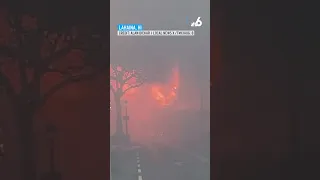 People flee into ocean as wildfire burns buildings in Hawaii's historic Lahaina town