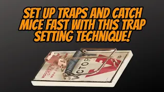 How to Properly set Mouse Traps Around your House! - Easy way to Catch House Mice