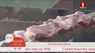 Добрай раніцы, Беларусь. Шашлык. Как не отравиться мясом