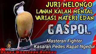 MASTERAN TERBAIK BURUNG FIGHTER❗BURUNG FULL ISIAN TEMBAKAN RAPAT - Untuk Murai batu cucak ijo Kacer