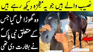 Saying Of Prophet Muhammad PBUH About Horse II Pak Fauj Owns Horse With Thumb Print Of Prophet PBUH