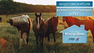 #СмотриДома | Конноспортивный клуб | Видеоэкскурсия (2020)