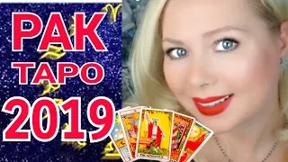 РАК ТАРО ПРОГНОЗ на 2019 год от Olga Stella