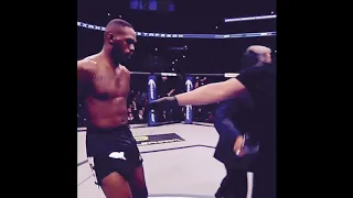 Джон Джонс vs. Александр Густафссон на UFC 232 🔥