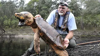 10 Most Dangerous River Monsters