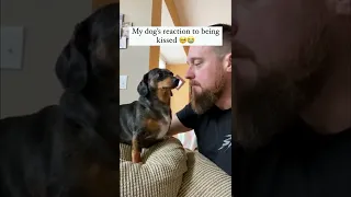 Dog's reaction to being kissed