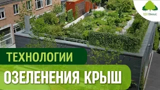 Зеленая кровля. Технология озеленения и посадки газона на крыше