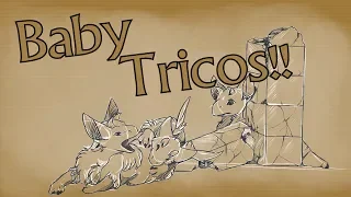 Baby Trico | Last Guardian Fan Animation | DarkmaneTheWerewolf