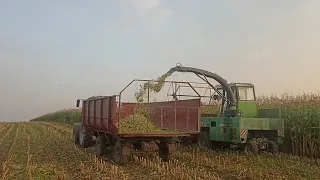 Силосування кукурудзи🌽🌽🌽 2023.👍👍👍