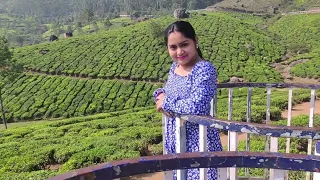 Tea Garden in kerala munnar,,,,,#kerala #munnar #teagarden