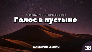 Голос в пустыне | Денис Самарин