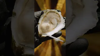 Slow-Mo Oyster Opening 🗡🦪✨#slowmotion