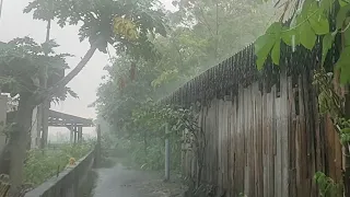 heavy rain accompanied by wind in a beautiful village