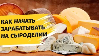 Производство сыра: как начать свой бизнес? Инструкция по открытию сыроварни