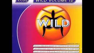 WILD FM VOLUME 12 - WILD VOLUME 12 MEGAMIX (ALEX K)