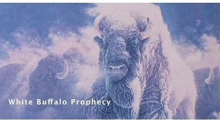 The White Buffalo Prophecy