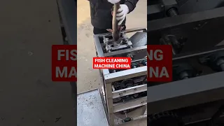 How to clean easily Fish in machine? 😮 #fishcleaning #fish #automatic #easy #chinamachine #shorts