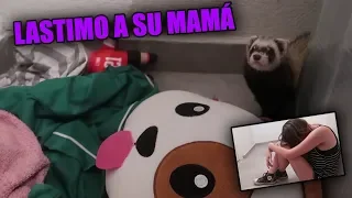 DESCUBRIMOS EL CUARTO SECRETO DE NUESTRA BEBE Y MUERDE A LYNA