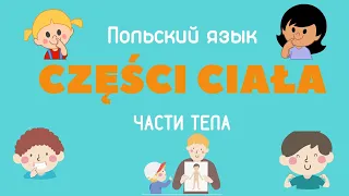 Части тела на польском языке