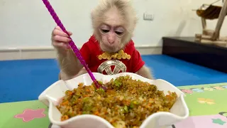 Baby monkey Abi learns how to cook delicious fried rice from her mother