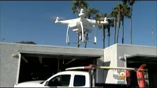 Use Of Drone By Lifeguards At Local Beach Reveals Chilling Look At Sharks Near Shoreline