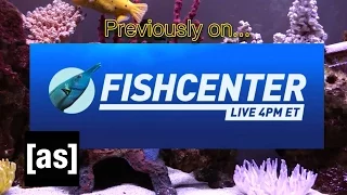 FishCenter Recap 5/1/17 | FishCenter | Adult Swim