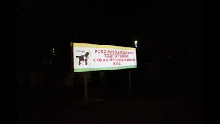 Школа собак-проводников в Купавне... Неужели всё?