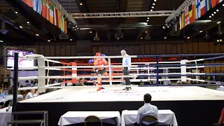 IFMA EC 2017 France TADEAS RUZICKA CZ vs GUZEL BARIS 3round