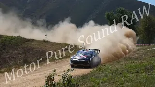 Epic WRC Compilation 2024 Portugal Góis