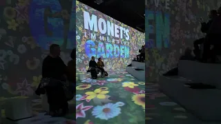 Monet Immersive Garden New York NY #MonetImmersiveGarden #monet
