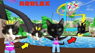 Gato pasa 24 horas en el parque acuático de Roblox Splash World pero con Luna y Estrella los gatitos