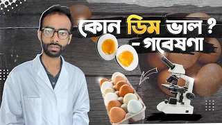 ডিম গবেষণা 👉🏼কোনটা ভাল- কাঁচা নাকি রান্না; ফার্ম নাকি দেশি; মুরগী নাকি হাঁস? Sabbir Ahmed