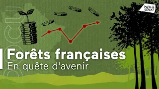 Forêts françaises, en quête d'avenir