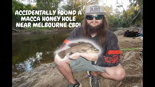 Yarra river Macquarie Perch fishing at the HONEY HOLE! I BROKE MY PB TWICE!