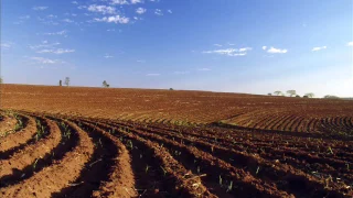 Terra Tombada - Chitãozinho & Xororó