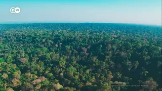 "Ríos Voladores" - La aguas del Amazonas