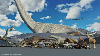 Animal Size Comparison (150+ Animals) | 3d Animation Comparison