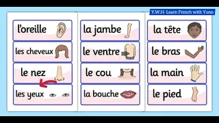 How to say Body Parts in French?