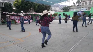 Toro Mambo,Tao Tao,La boda del Huitlacoche, Maestros de la Esc Manuel Acuña